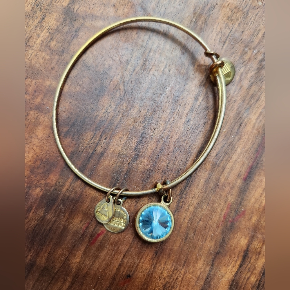 Alex and Ani Birthstone Bracelet